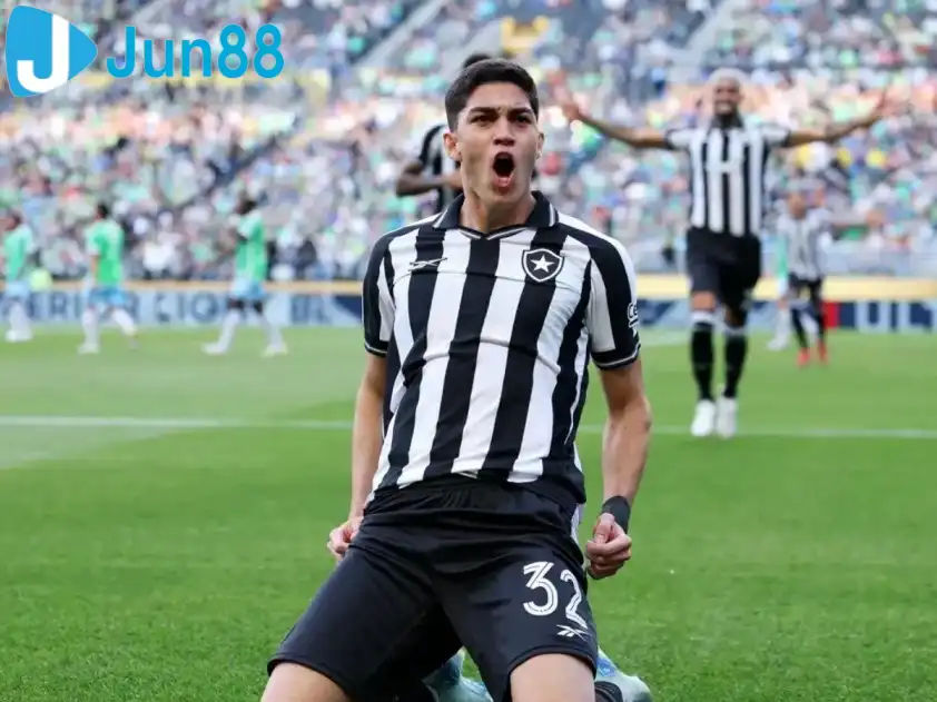 Botafogo không có được phong độ ấn tượng trong thời gian qua (Ảnh: TVT News)